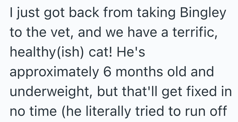 I just got back from taking Bingley to the vet, and we have a terrific, healthy(ish) cat! He's approximately 6 months old and underweight, but that'll get fixed in no time (he literally tried to run off