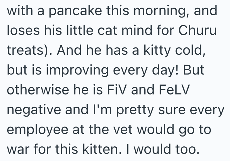 with a pancake this morning, and loses his little cat mind for Churu treats). And he has a kitty cold, but is improving every day! But otherwise he is FIV and FeLV negative and I'm pretty sure every employee at the vet would go to war for this kitten. I would too.