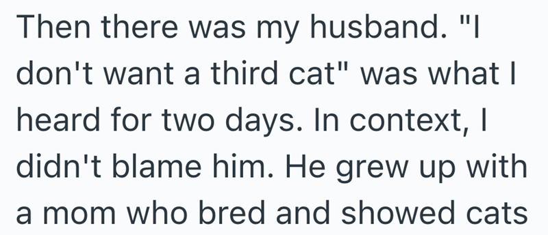 Then there was my husband. "I don't want a third cat" was what I heard for two days. In context, I didn't blame him. He grew up with a mom who bred and showed cats
