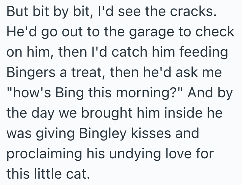 But bit by bit, I'd see the cracks. He'd go out to the garage to check on him, then I'd catch him feeding Bingers a treat, then he'd ask me "how's Bing this morning?" And by the day we brought him inside he was giving Bingley kisses and proclaiming his undying love for this little cat.
