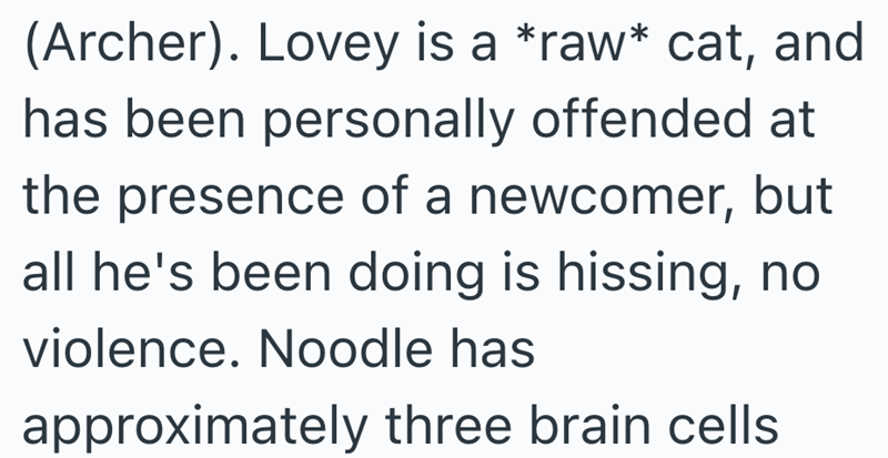 (Archer). Lovey is a *raw* cat, and has been personally offended at the presence of a newcomer, but all he's been doing is hissing, no violence. Noodle has approximately three brain cells