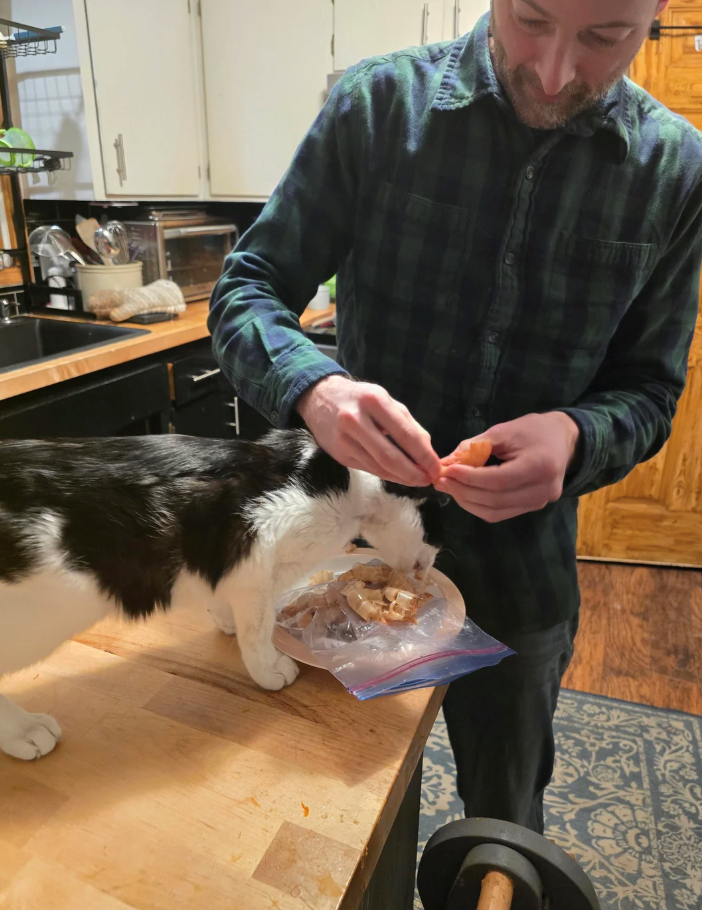 Cheezburger Image 10621232640