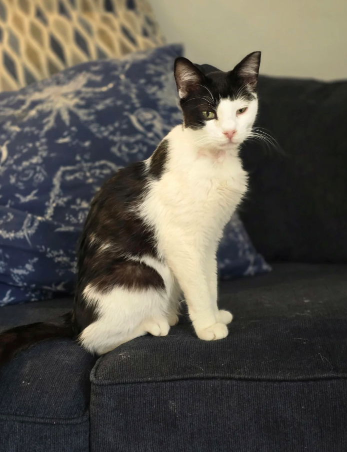 Cheezburger Image 10621233152