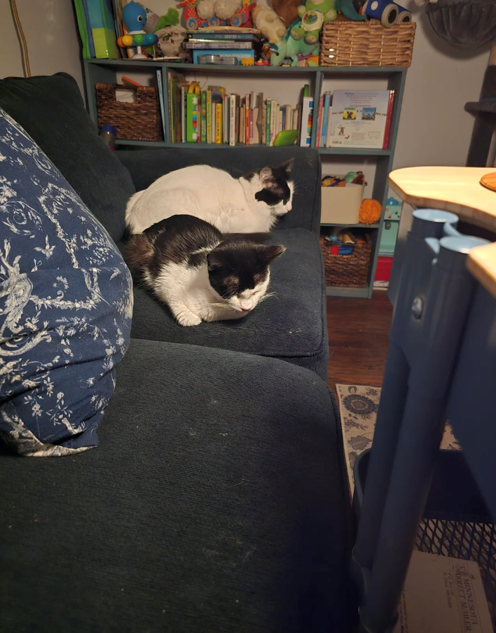 4 MINNESOTA NDIRECT MAILER