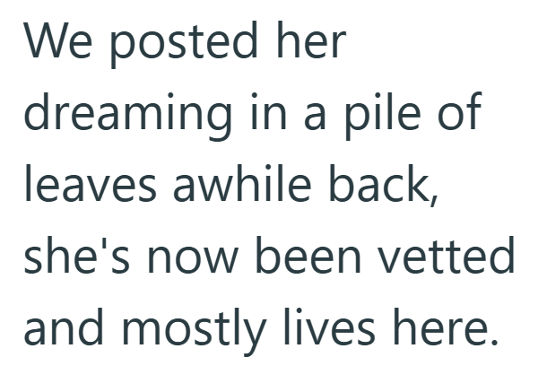 We posted her dreaming in a pile of leaves awhile back, she's now been vetted and mostly lives here.