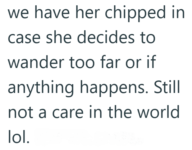 we have her chipped in case she decides to wander too far or if anything happens. Still not a care in the world lol.