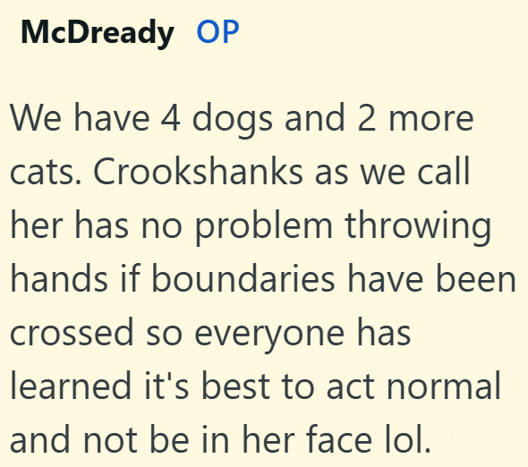 McDready OP We have 4 dogs and 2 more cats. Crookshanks as we call her has no problem throwing hands if boundaries have been crossed so everyone has learned it's best to act normal and not be in her face lol.