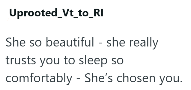 Uprooted_Vt_to_RI She so beautiful - she really trusts you to sleep so comfortably - She's chosen you.