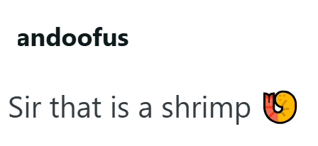 andoofus Sir that is a shrimp ⑲