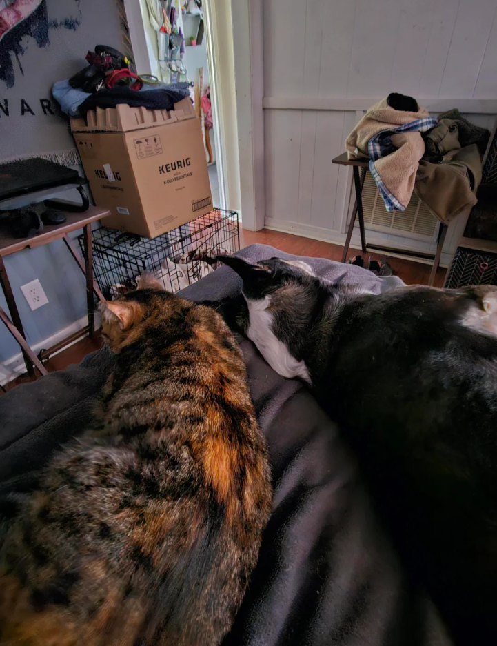 WAR KEL G KEURIG KOUD ESSENTIALS