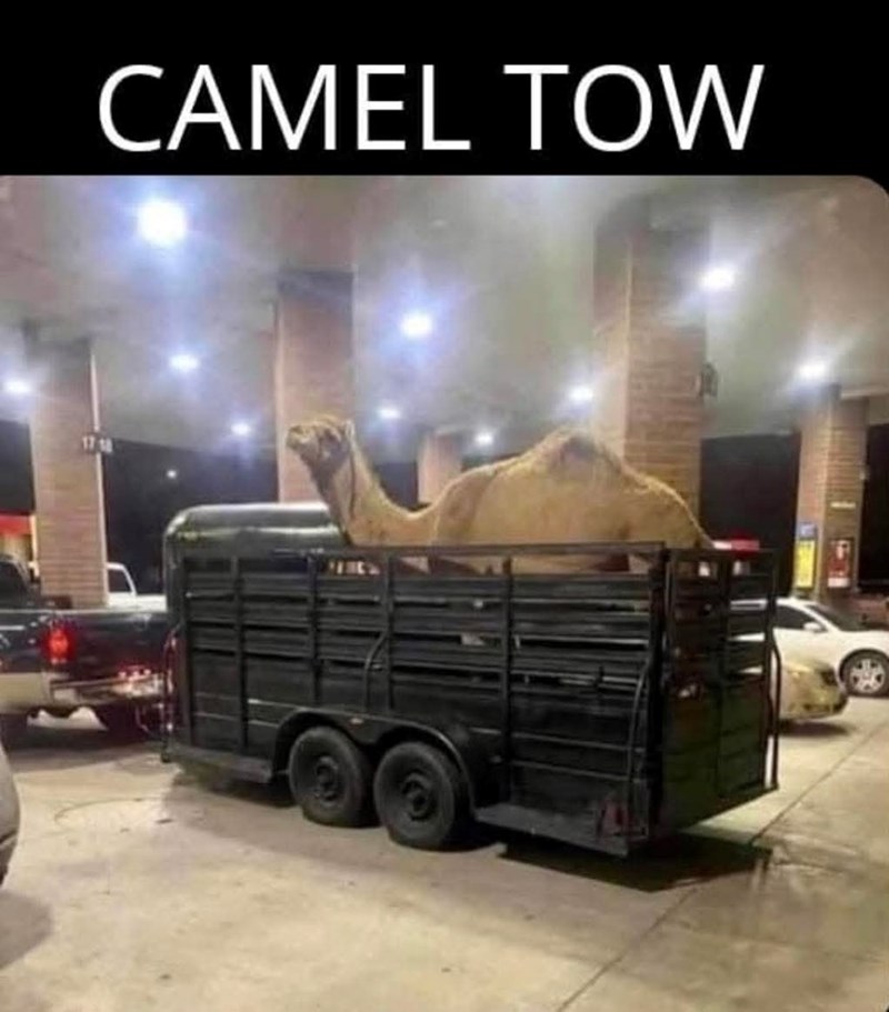 CAMEL TOW 17 18