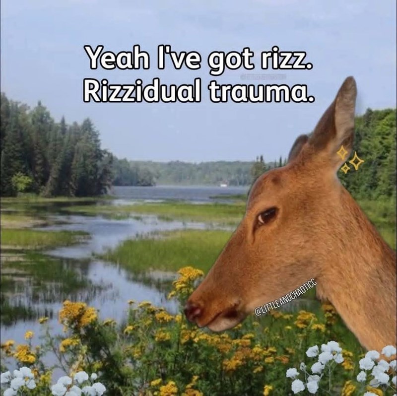 Yeah I've got rizz. Rizzidual trauma. @LITTLEANDCHAOTICC