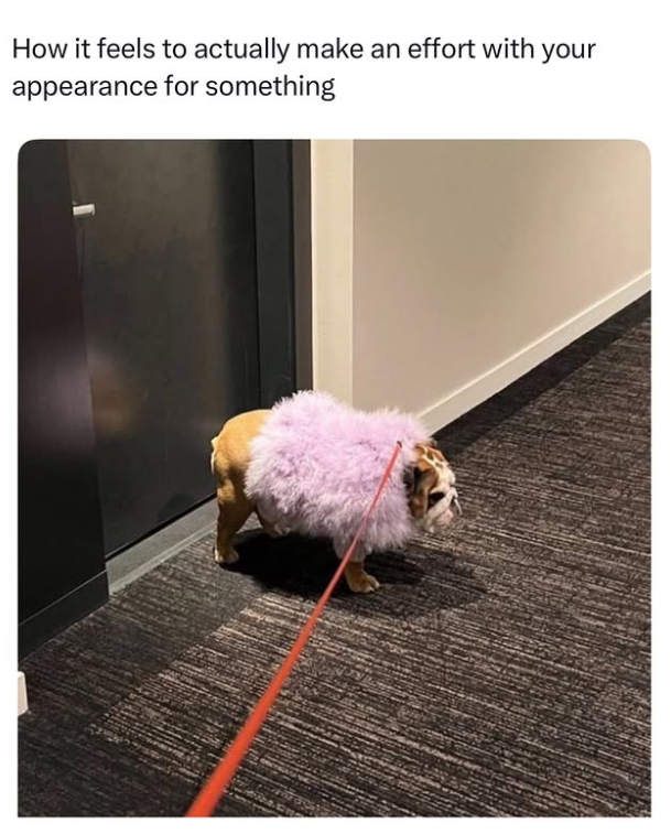 How it feels to actually make an effort with your appearance for something