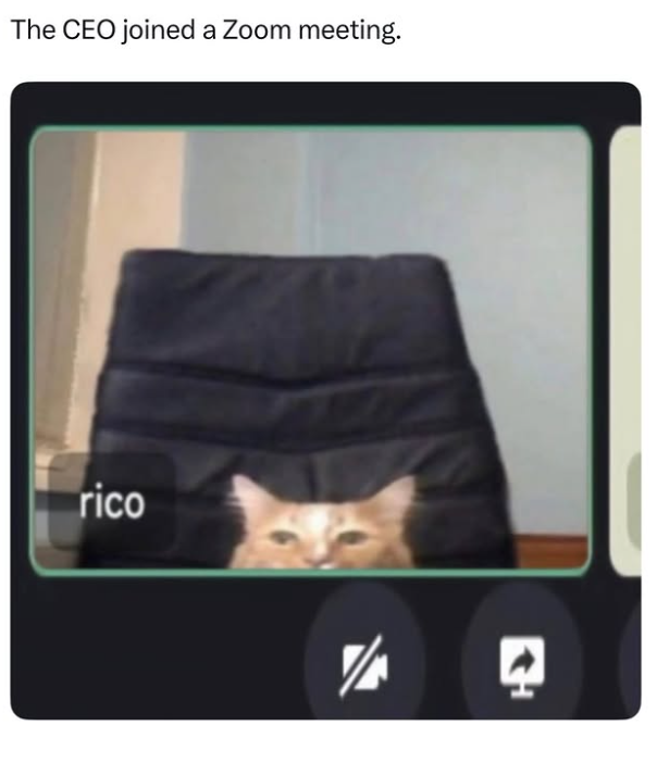 The CEO joined a Zoom meeting. rico ☑