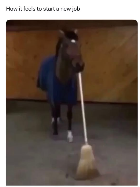 How it feels to start a new job