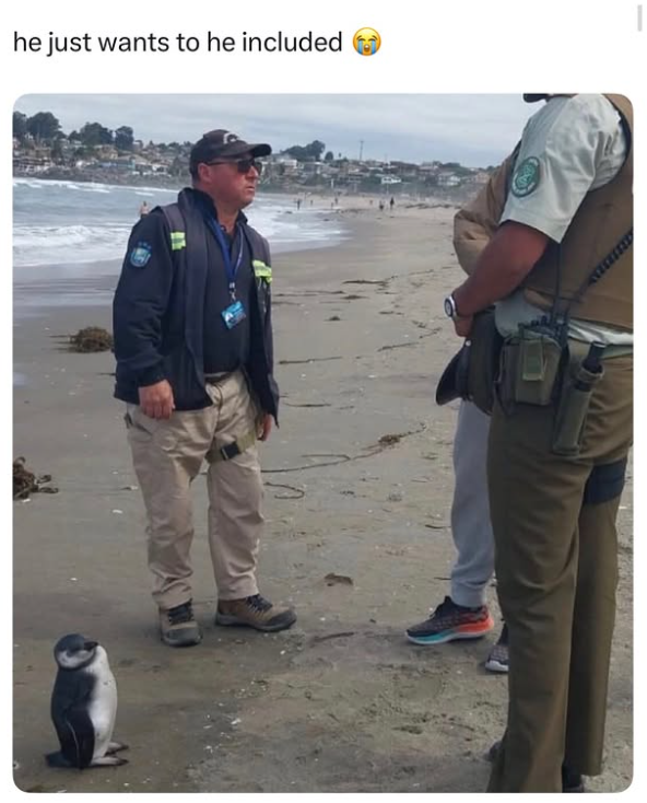 he just wants to he included