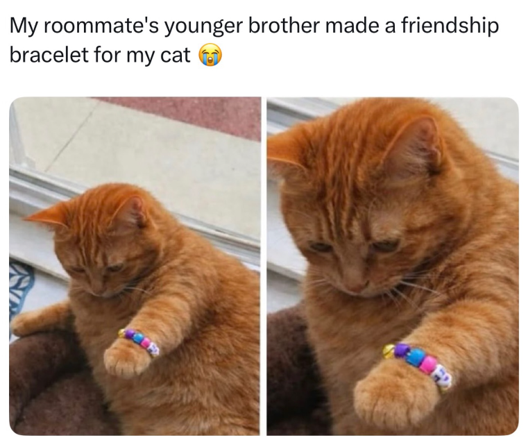 My roommate's younger brother made a friendship bracelet for my cat FD