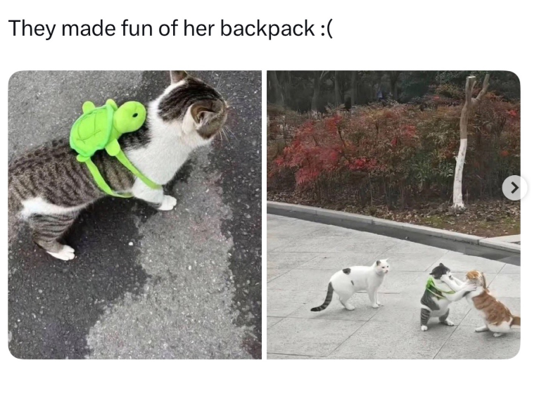 They made fun of her backpack :(