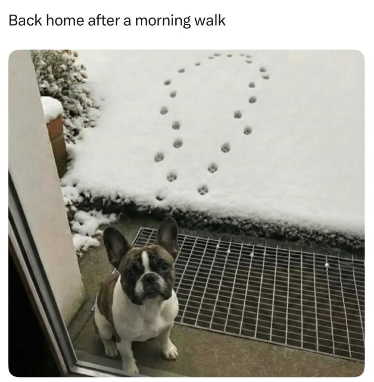 Back home after a morning walk