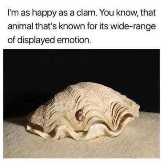I'm as happy as a clam. You know, that animal that's known for its wide-range of displayed emotion.