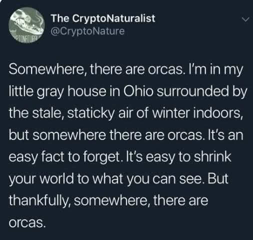 The CryptoNaturalist @CryptoNature Somewhere, there are orcas. I'm in my little gray house in Ohio surrounded by the stale, staticky air of winter indoors, but somewhere there are orcas. It's an easy fact to forget. It's easy to shrink your world to what you can see. But thankfully, somewhere, there are orcas.