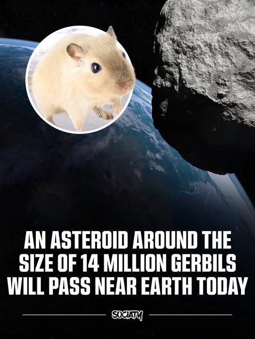AN ASTEROID AROUND THE SIZE OF 14 MILLION GERBILS WILL PASS NEAR EARTH TODAY SOCIATY