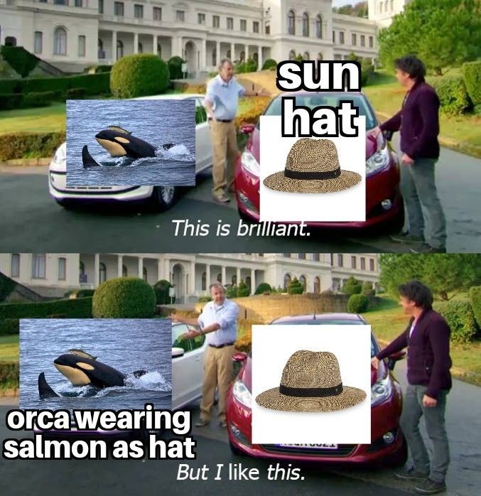 sun hat This is brilliant. orca wearing salmon as hat But I like this. 4627
