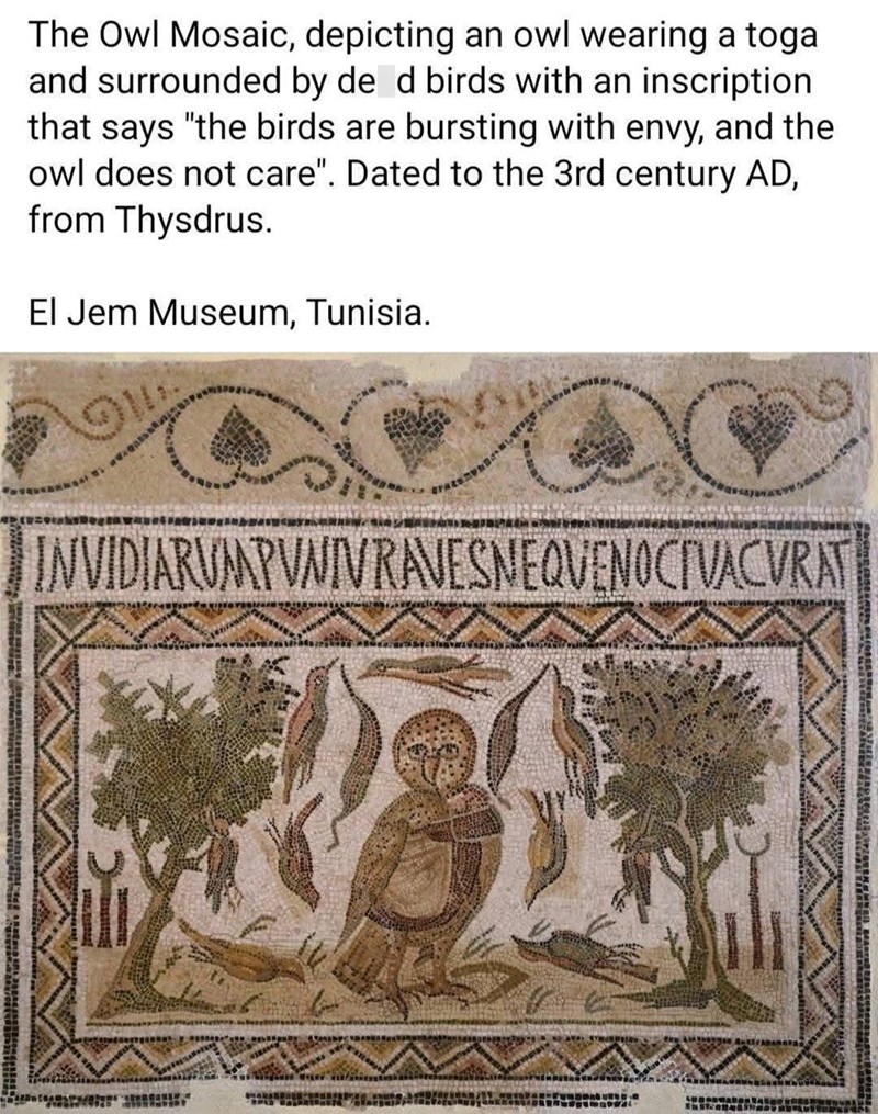 The Owl Mosaic, depicting an owl wearing a toga. and surrounded by de d birds with an inscription that says "the birds are bursting with envy, and the owl does not care". Dated to the 3rd century AD, from Thysdrus. El Jem Museum, Tunisia. INVIDIARVMPVNIVRAVESNEQUENOCIVACVRAT AB
