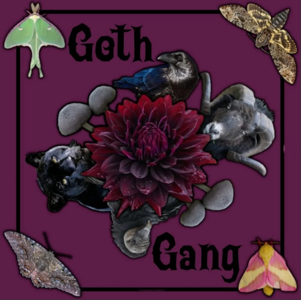 Goth Gang