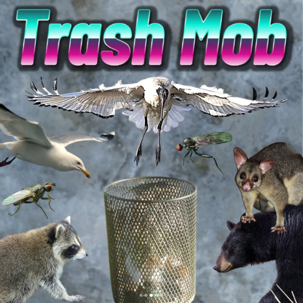 Trash Mob