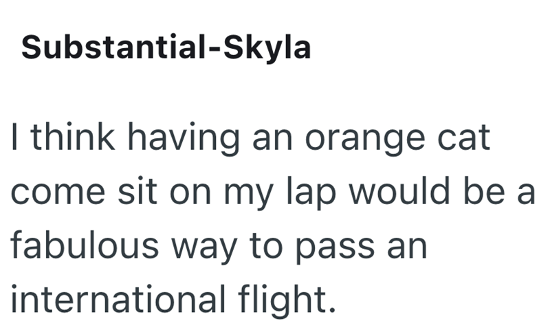 Substantial-Skyla I think having an orange cat come sit on my lap would be a fabulous way to pass an international flight.