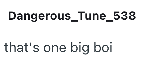 Dangerous_Tune_538 that's one big boi