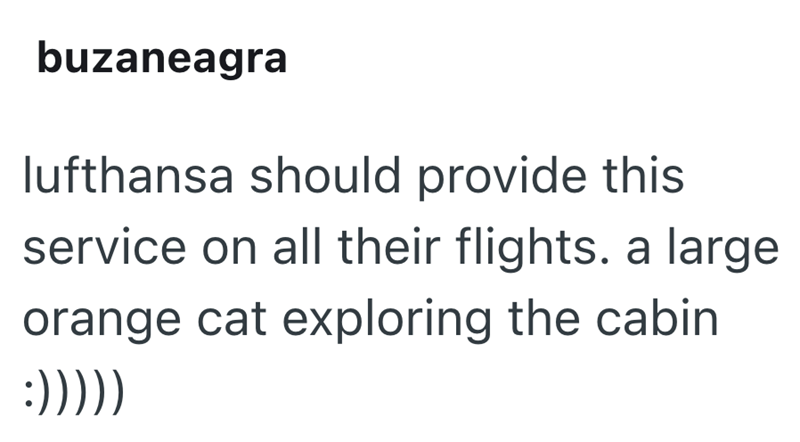 buzaneagra lufthansa should provide this service on all their flights. a large orange cat exploring the cabin :)))))