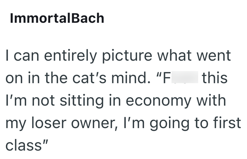ImmortalBach I can entirely picture what went on in the cat's mind. "F this I'm not sitting in economy with my loser owner, I'm going to first class"