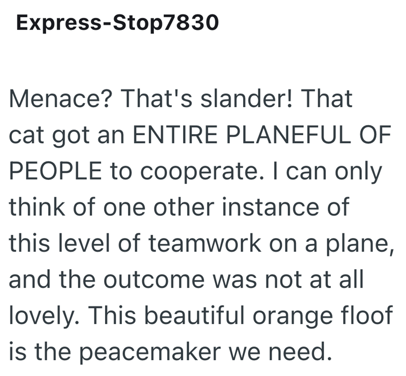 Express-Stop7830 Menace? That's slander! That cat got an ENTIRE PLANEFUL OF PEOPLE to cooperate. I can only think of one other instance of this level of teamwork on a plane, and the outcome was not at all lovely. This beautiful orange floof is the peacemaker we need.