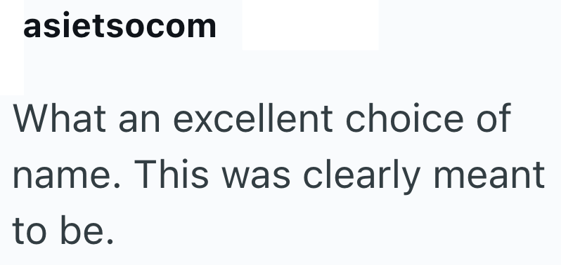 asietsocom What an excellent choice of name. This was clearly meant to be.