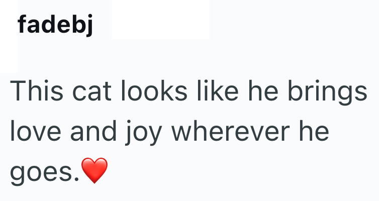 fadebj This cat looks like he brings love and joy wherever he goes.