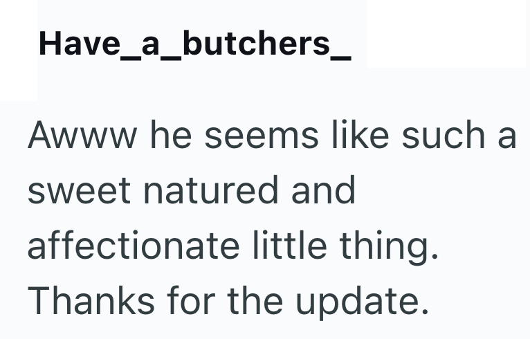 Have_a_butchers_ Awww he seems like such a sweet natured and affectionate little thing. Thanks for the update.