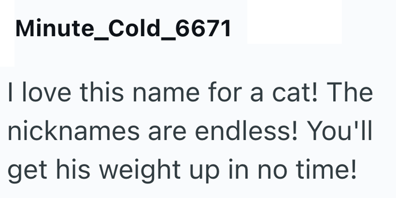 Minute_Cold_6671 I love this name for a cat! The nicknames are endless! You'l| get his weight up in no time!