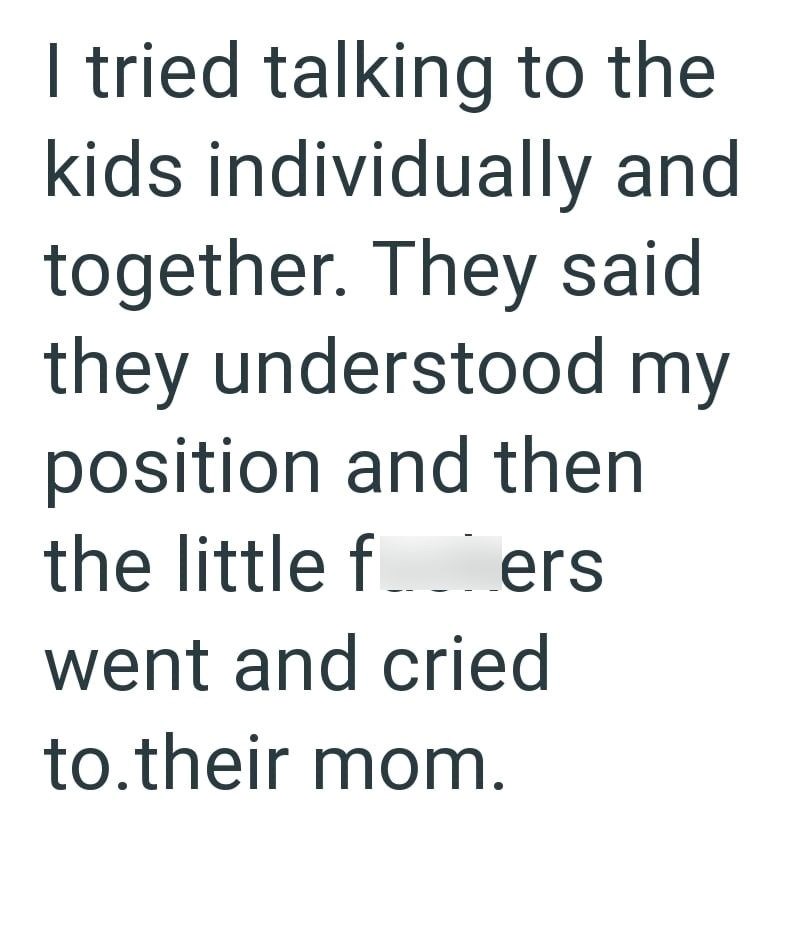 I tried talking to the kids individually and together. They said they understood my position and then the little fers went and cried to.their mom.