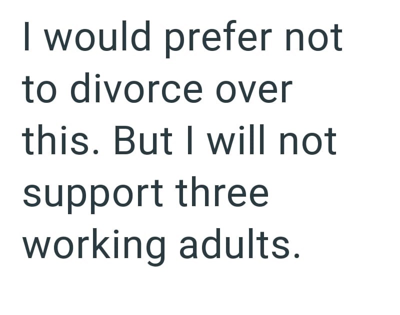I would prefer not to divorce over this. But I will not support three working adults.