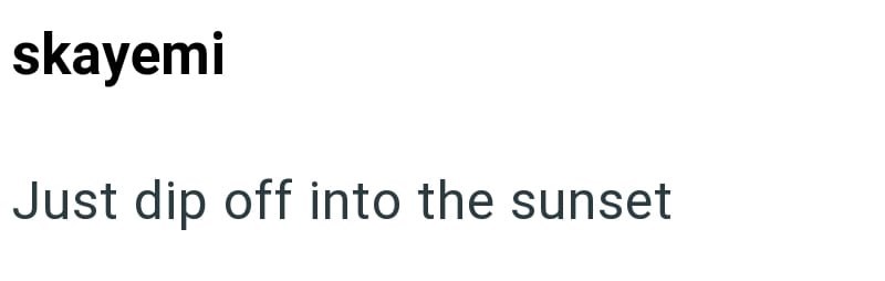 skayemi Just dip off into the sunset