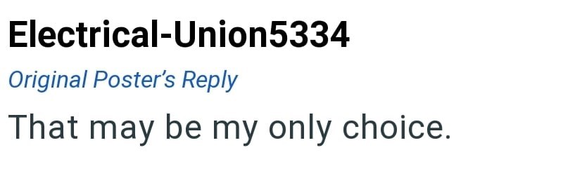 Electrical-Union5334 Original Poster's Reply That may be my only choice.