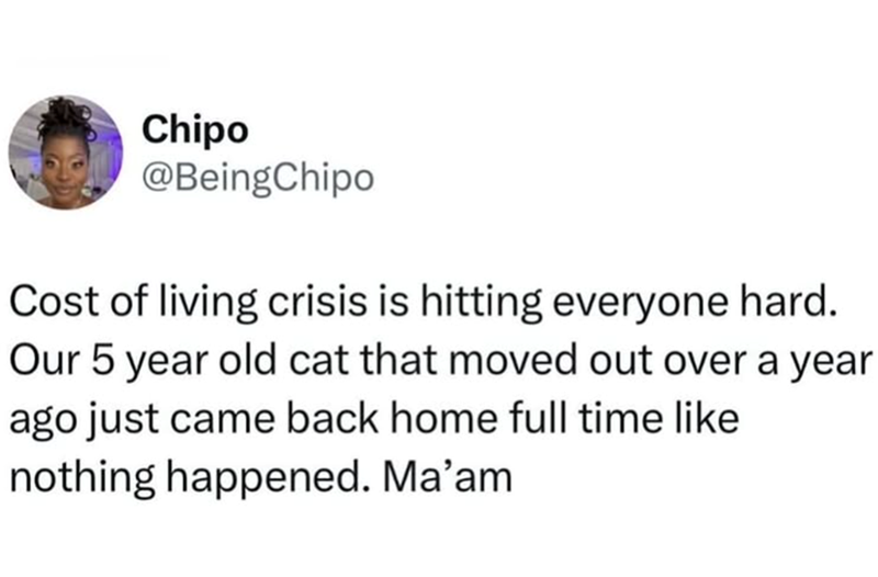 Chipo @BeingChipo Cost of living crisis is hitting everyone hard. Our 5 year old cat that moved out over a year ago just came back home full time like nothing happened. Ma'am