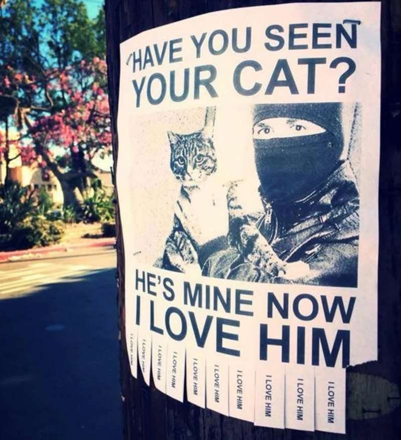 HAVE YOU SEEN YOUR CAT? I LOVE HIM I LOVE HIM I LOVE HIM HE'S MINE NOW LOVE HIM I LOVE HIM I LOVE HIM I LOVE HIM I LOVE HIM LOVE HIM LOVE H