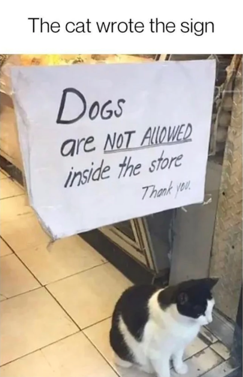 The cat wrote the sign DOGS are NOT ALLOWED inside the store Thank you.