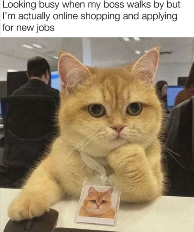 Looking busy when my boss walks by but I'm actually online shopping and applying for new jobs