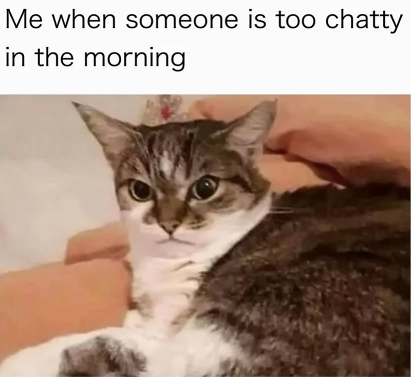 Me when someone is too chatty in the morning