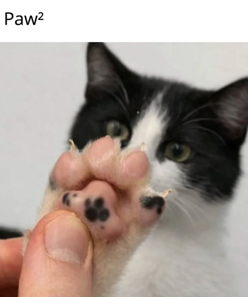 Paw²
