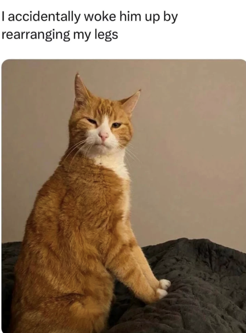 I accidentally woke him up by rearranging my legs